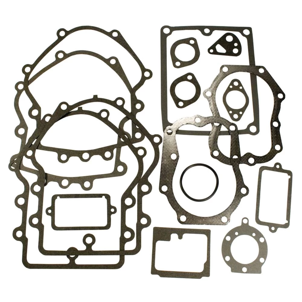 Gasket Set for Briggs & Stratton 495868 / 480-008