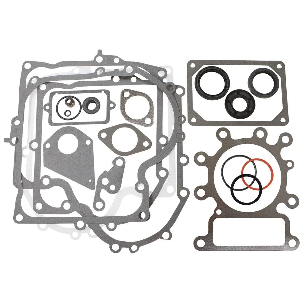 Gasket Set for Briggs & Stratton 495993 / 480-039