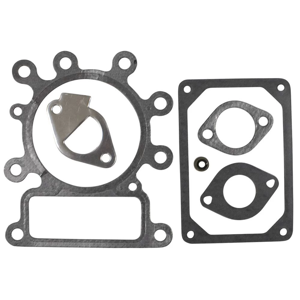 Gasket Set for Briggs & Stratton 796189 / 480-053