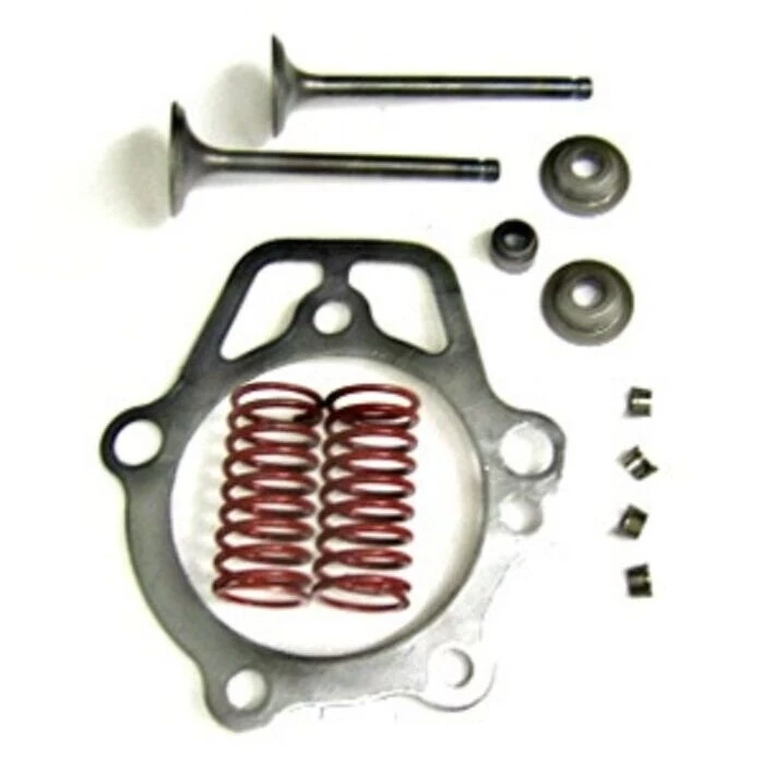 Generac 0D24890ESV OEM Retainer Valve