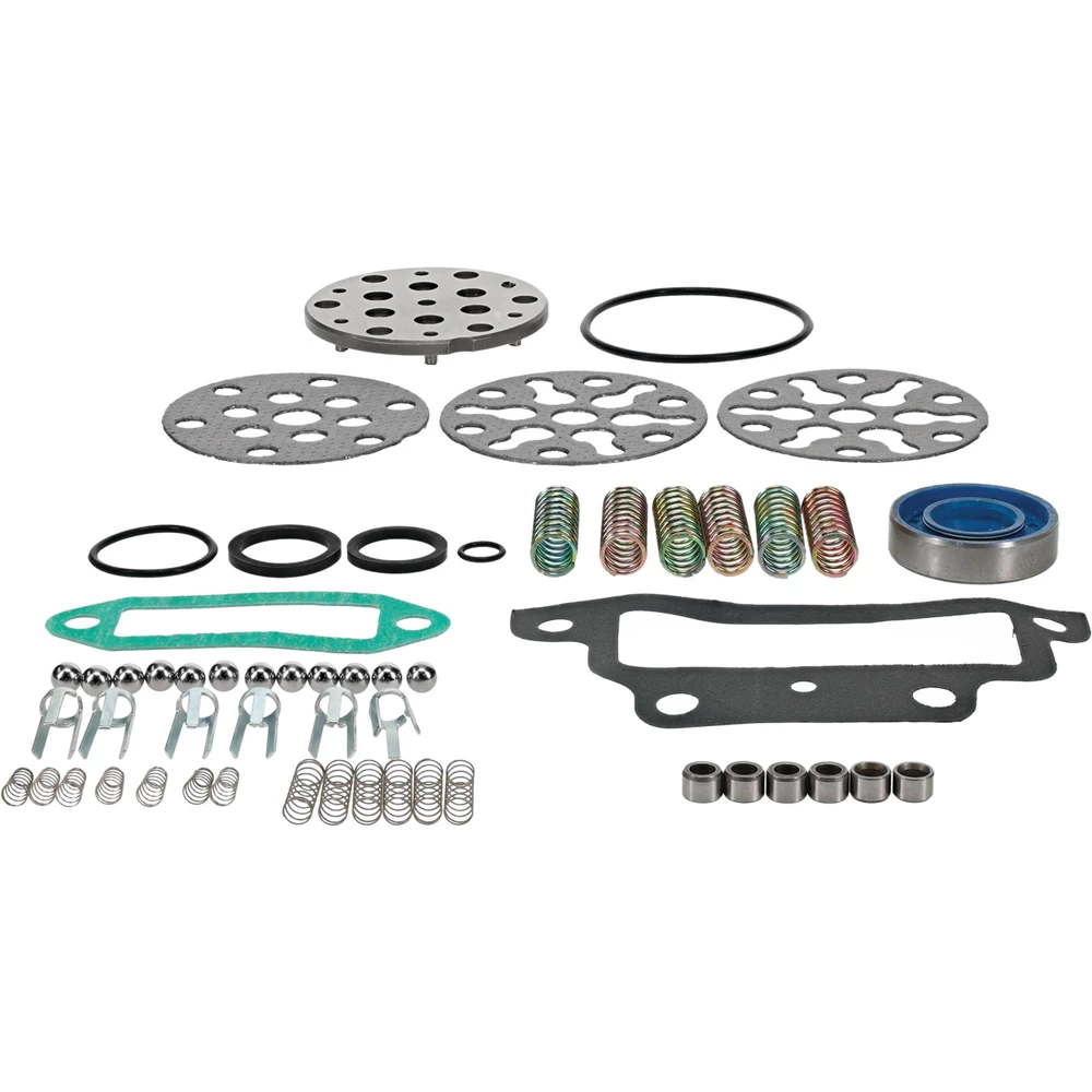 Hydraulic Pump Repair Kit for Ford/New Holland CCPN600AB / 1101-0091